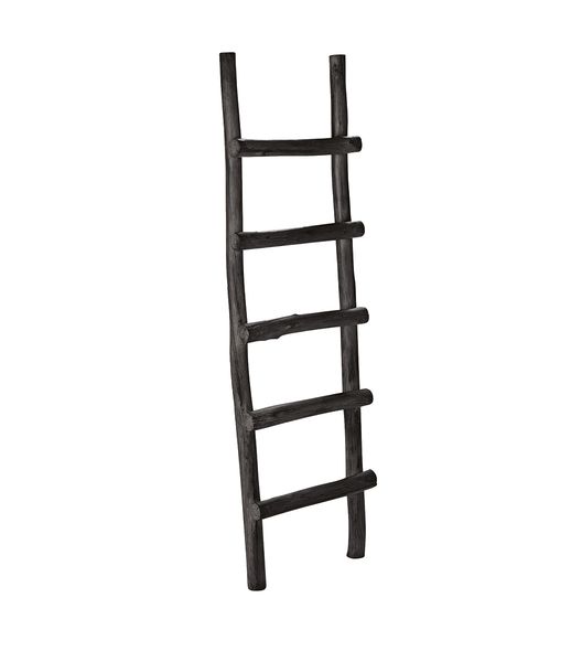 Ladder Trestige - Artwood