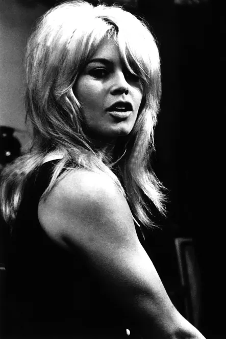Hovedbilde Bardot GN 8972 | Cobra Art